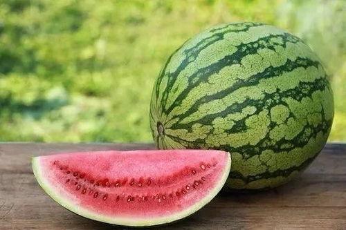 只吃西瓜不吃瓜,探寻只吃西瓜不吃瓜的饮食奥秘